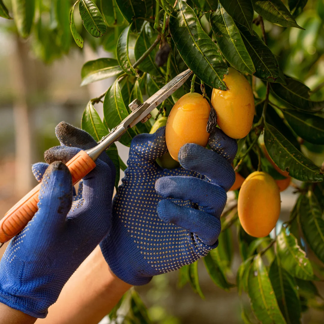 Customized Product Sourcing