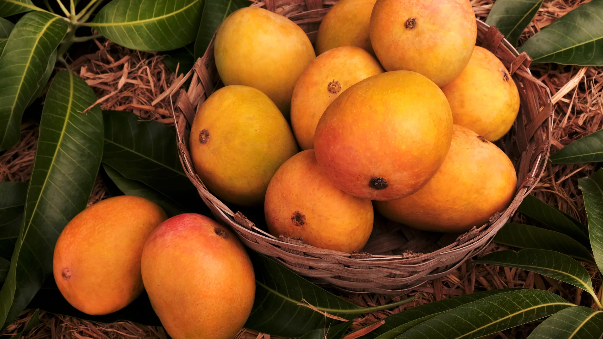 Export From India